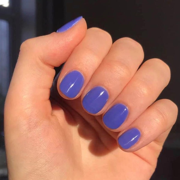 Lavender Blue
